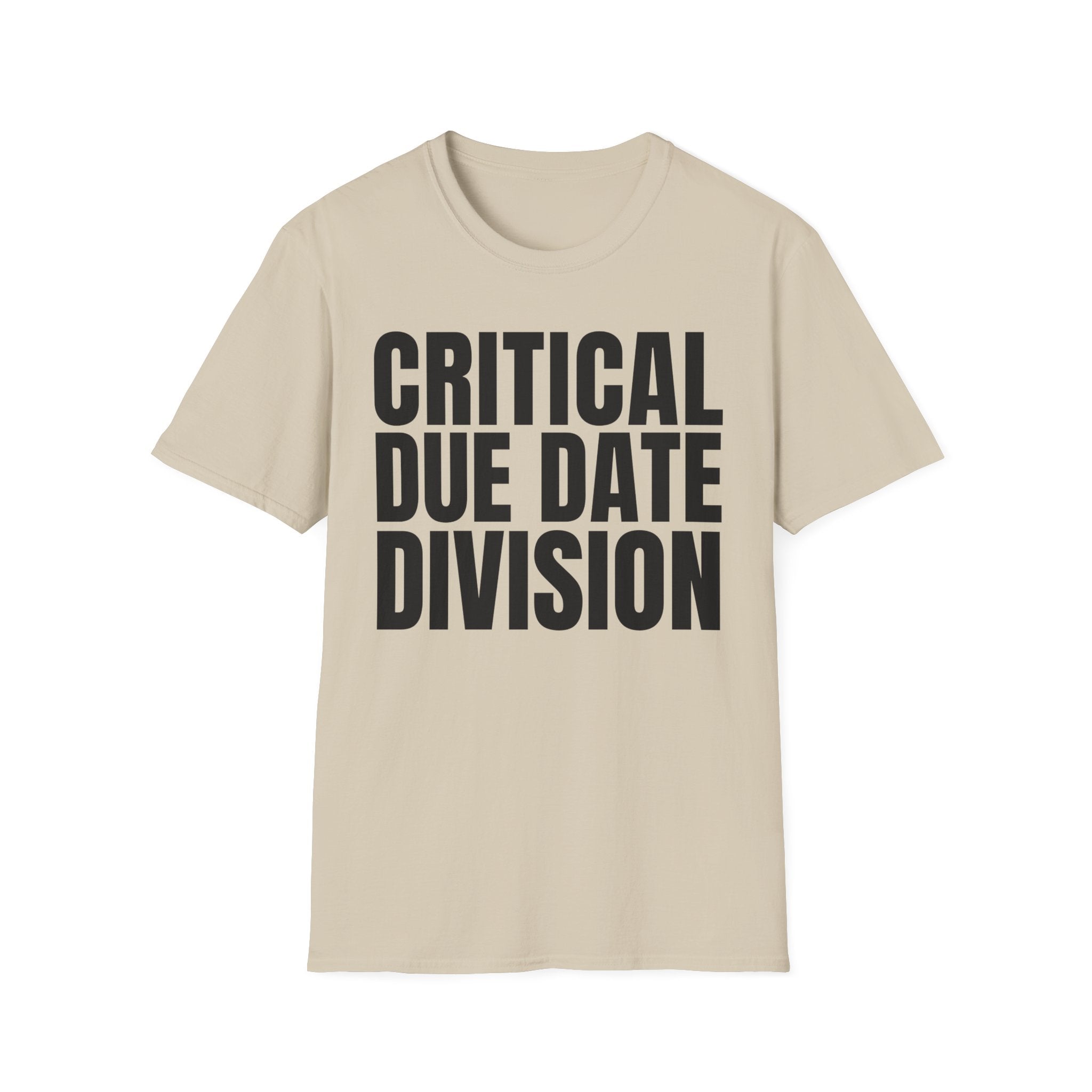 CRITICAL DUE DATE DIVISION