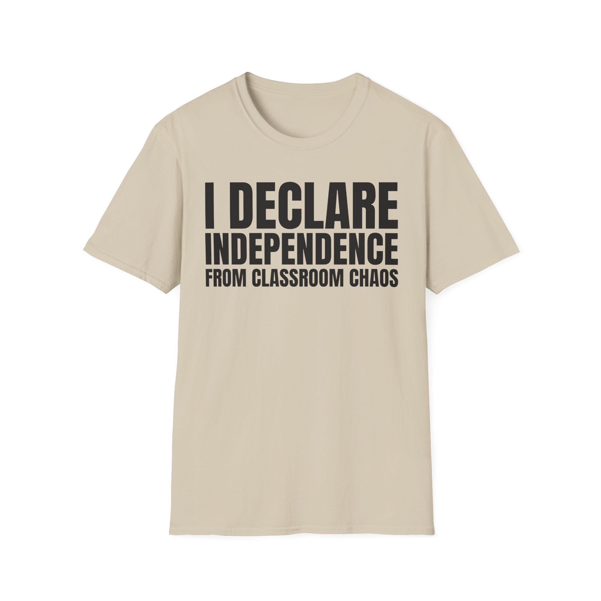 I DECLARE INDEPENDENCE FROM CLASSROOM CHAOS T-SHIRT