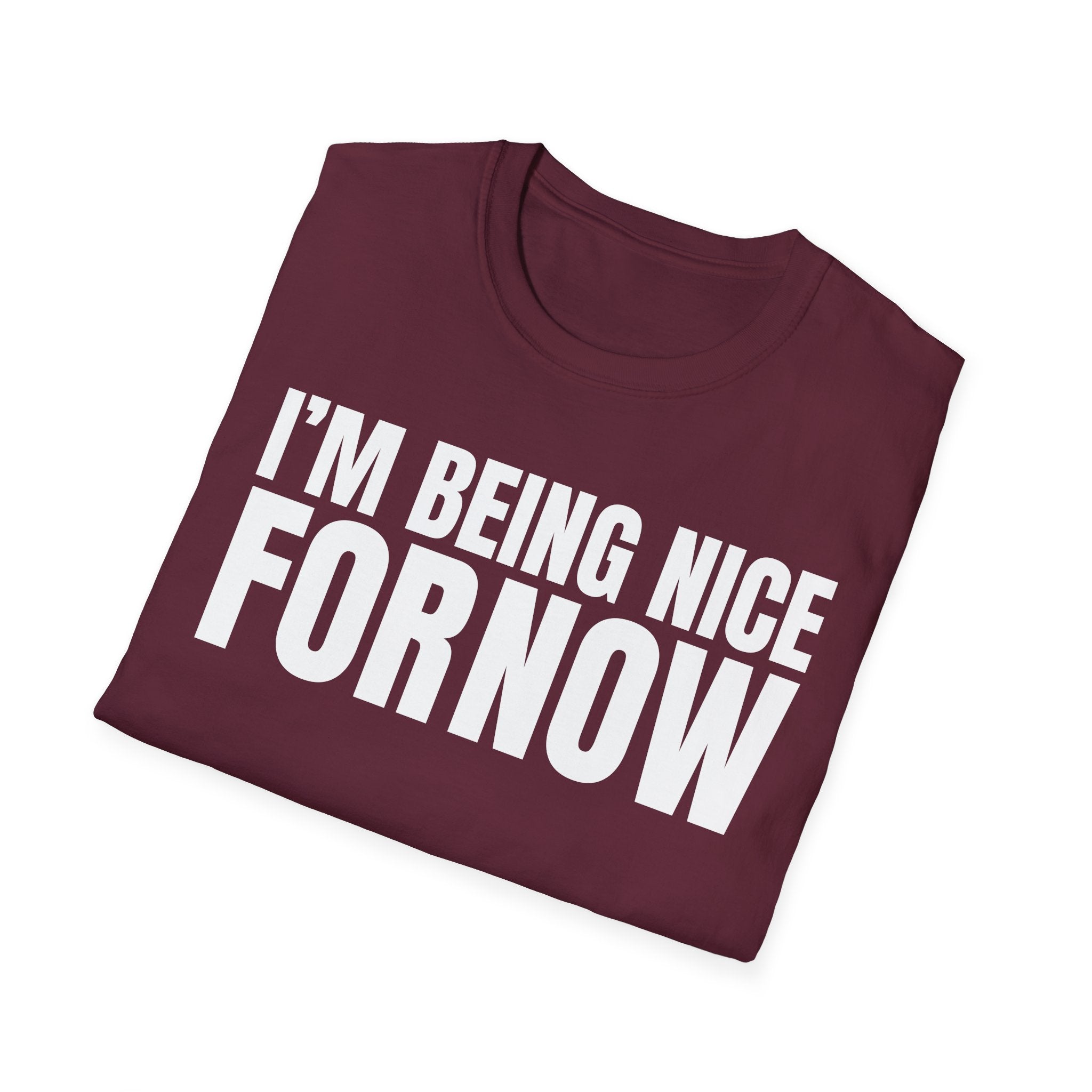 I'M BEING NICE FOR NOW 2 T-SHIRT