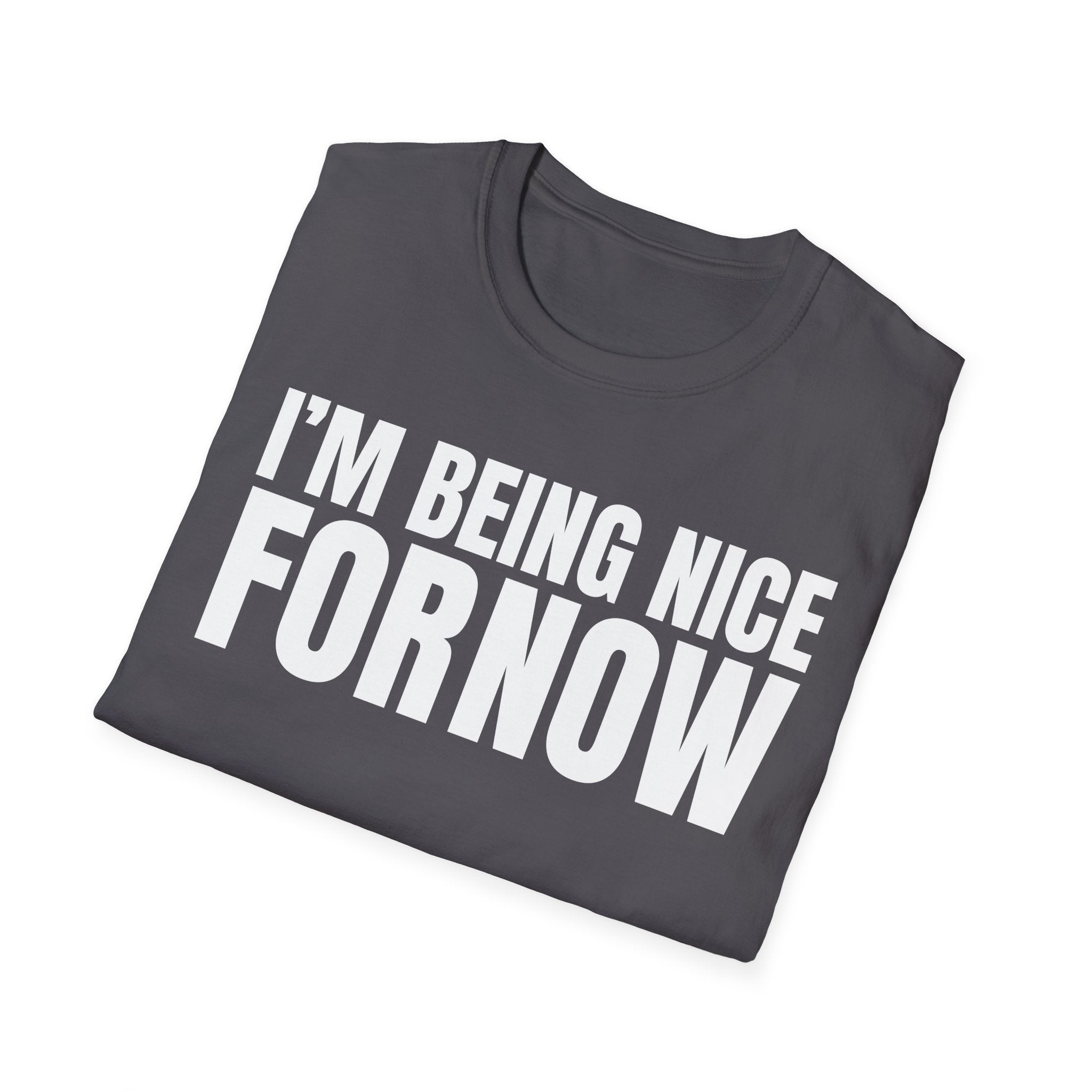 I'M BEING NICE FOR NOW 2 T-SHIRT