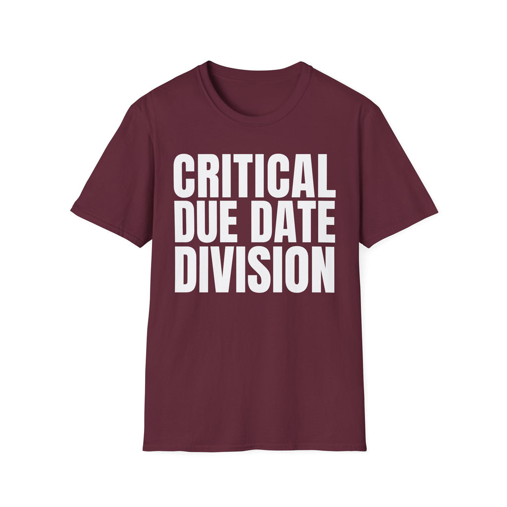CRITICAL DUE DATE DIVISION
