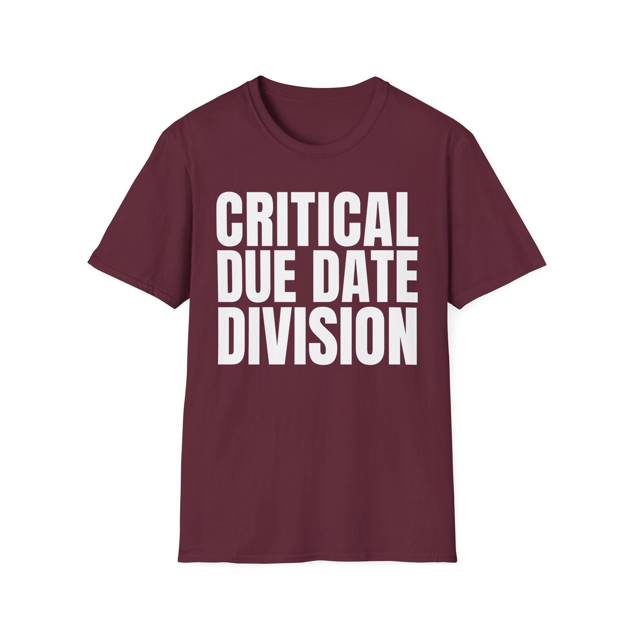 CRITICAL DUE DATE DIVISION