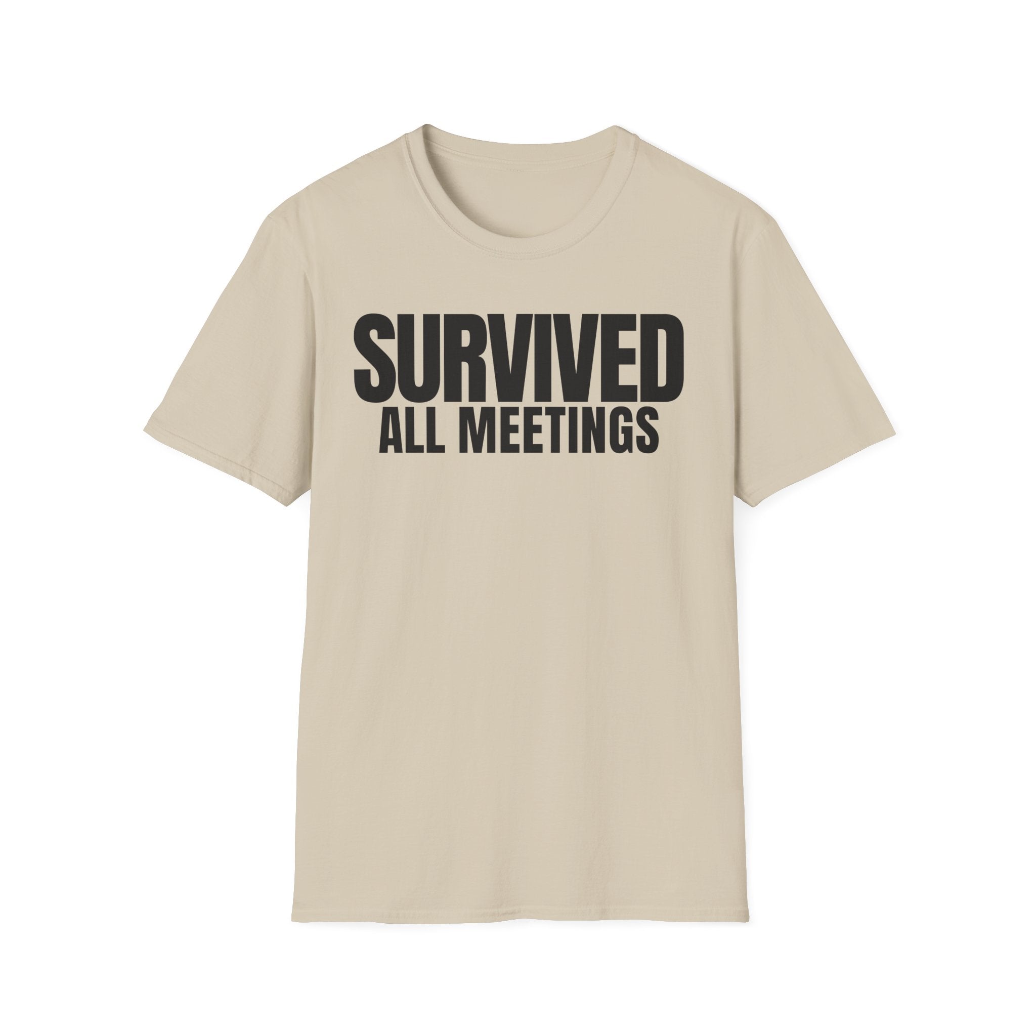 SURVIVED ALL MEETINGS T-SHIRT