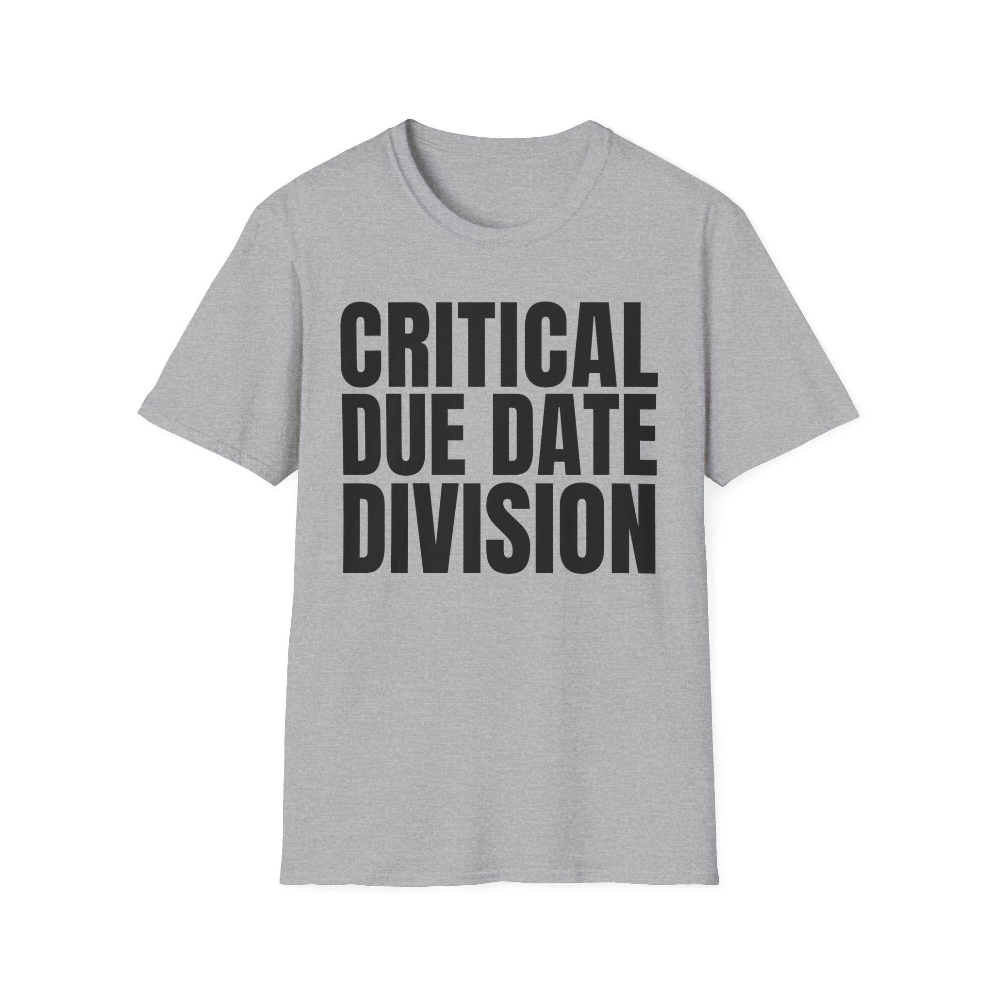 CRITICAL DUE DATE DIVISION