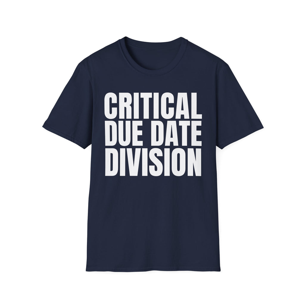 CRITICAL DUE DATE DIVISION