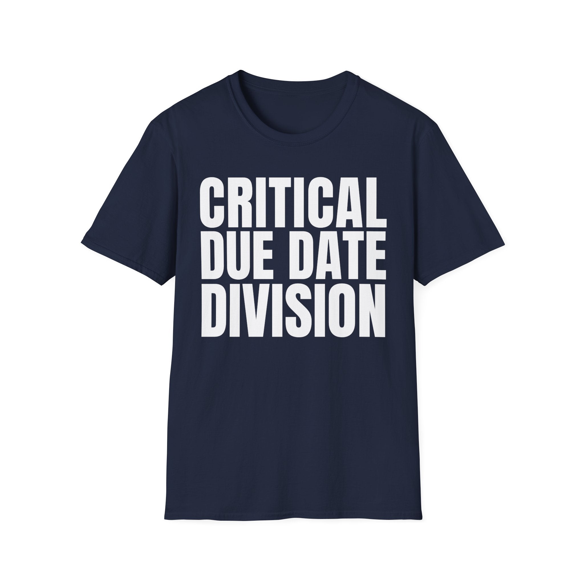 CRITICAL DUE DATE DIVISION