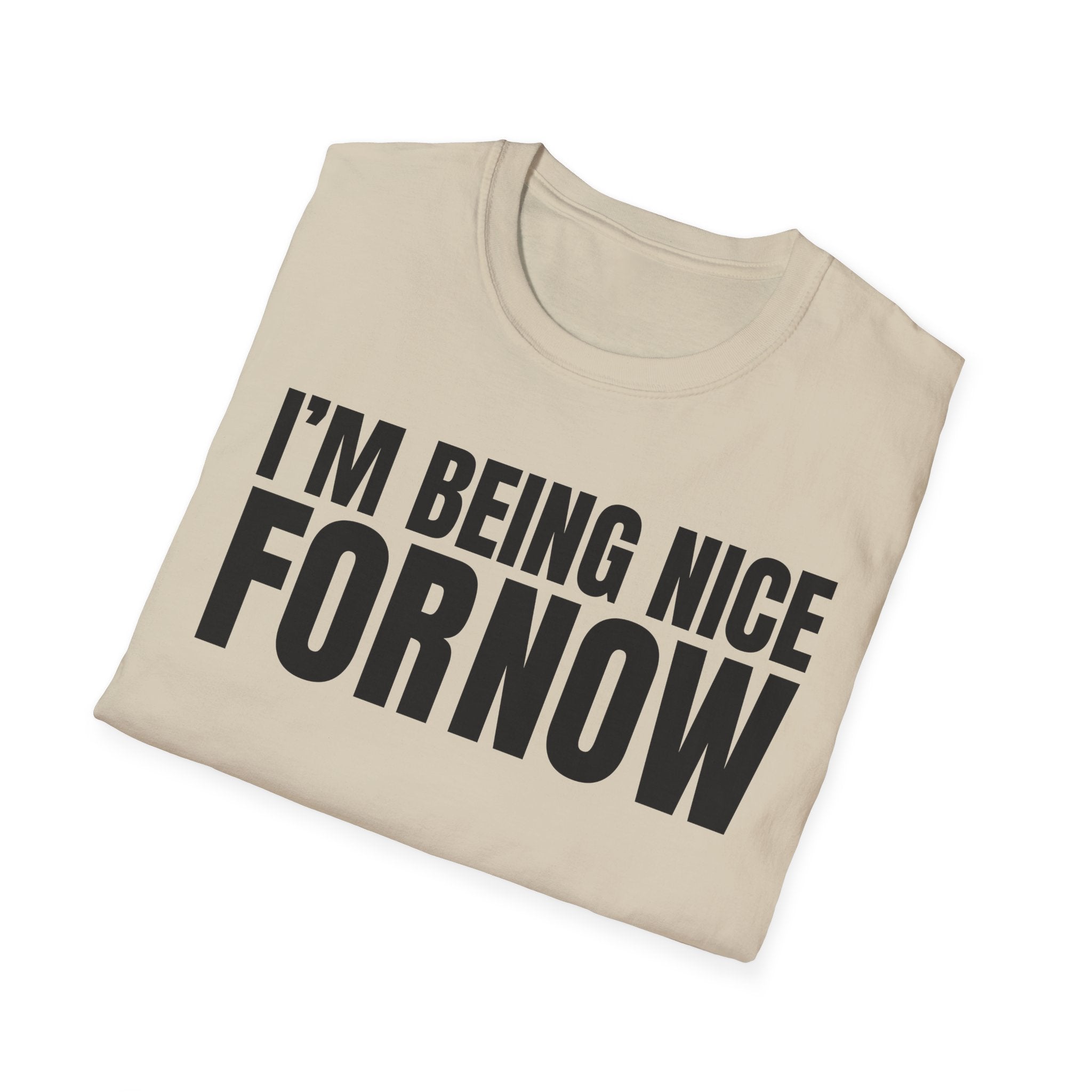 I'M BEING NICE FOR NOW 2 T-SHIRT