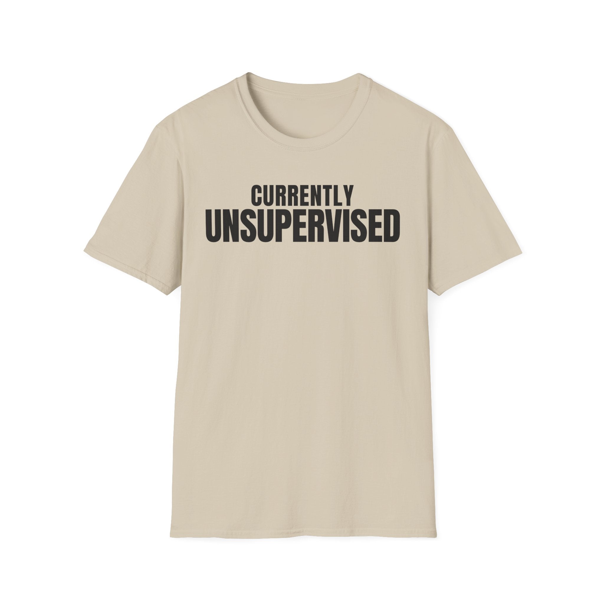 Copy of CURRENTLY UNSUPERVISED 2 T-SHIRT