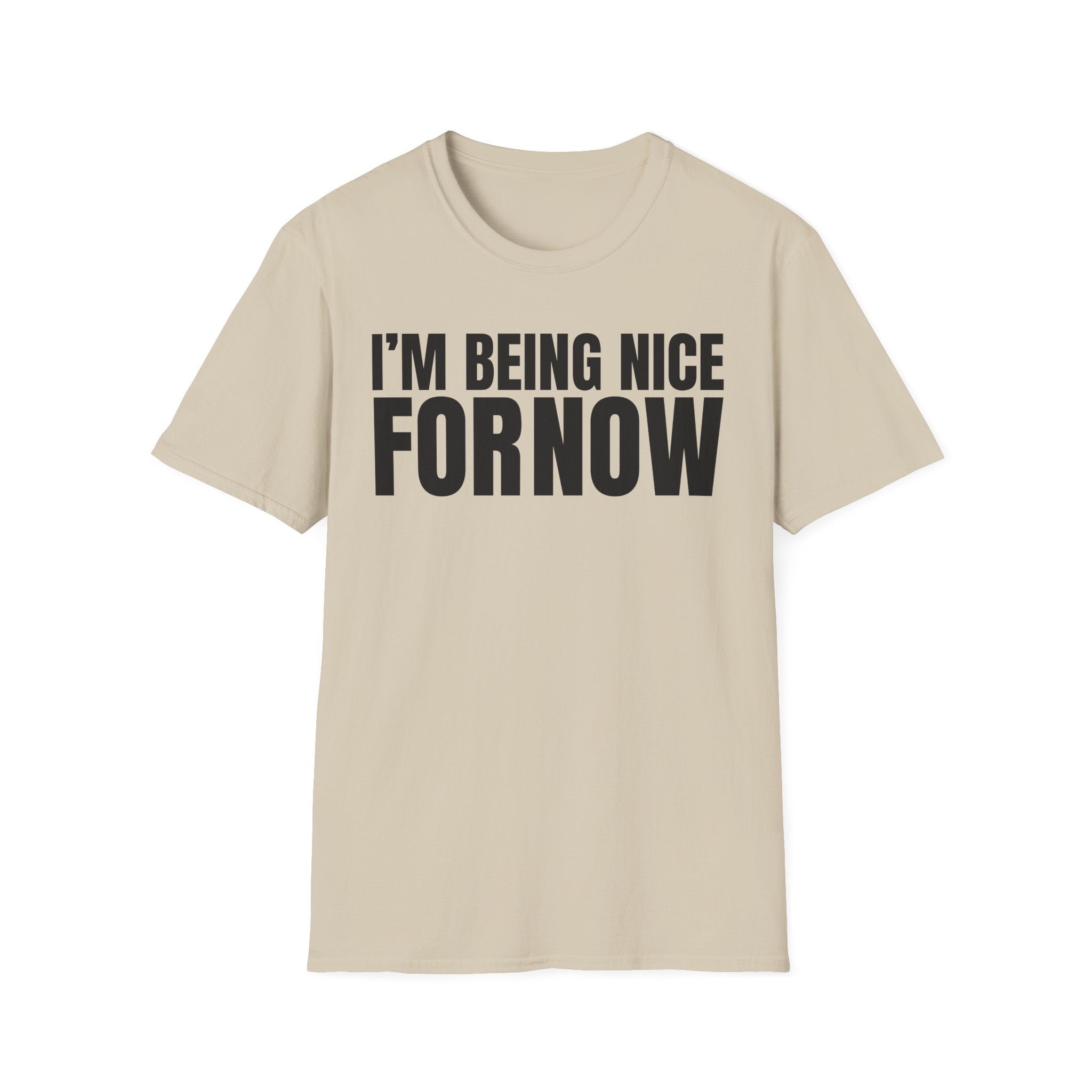 I'M BEING NICE FOR NOW 2 T-SHIRT