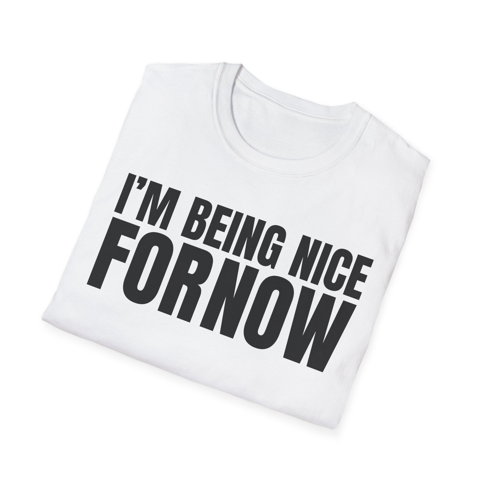 I'M BEING NICE FOR NOW 2 T-SHIRT