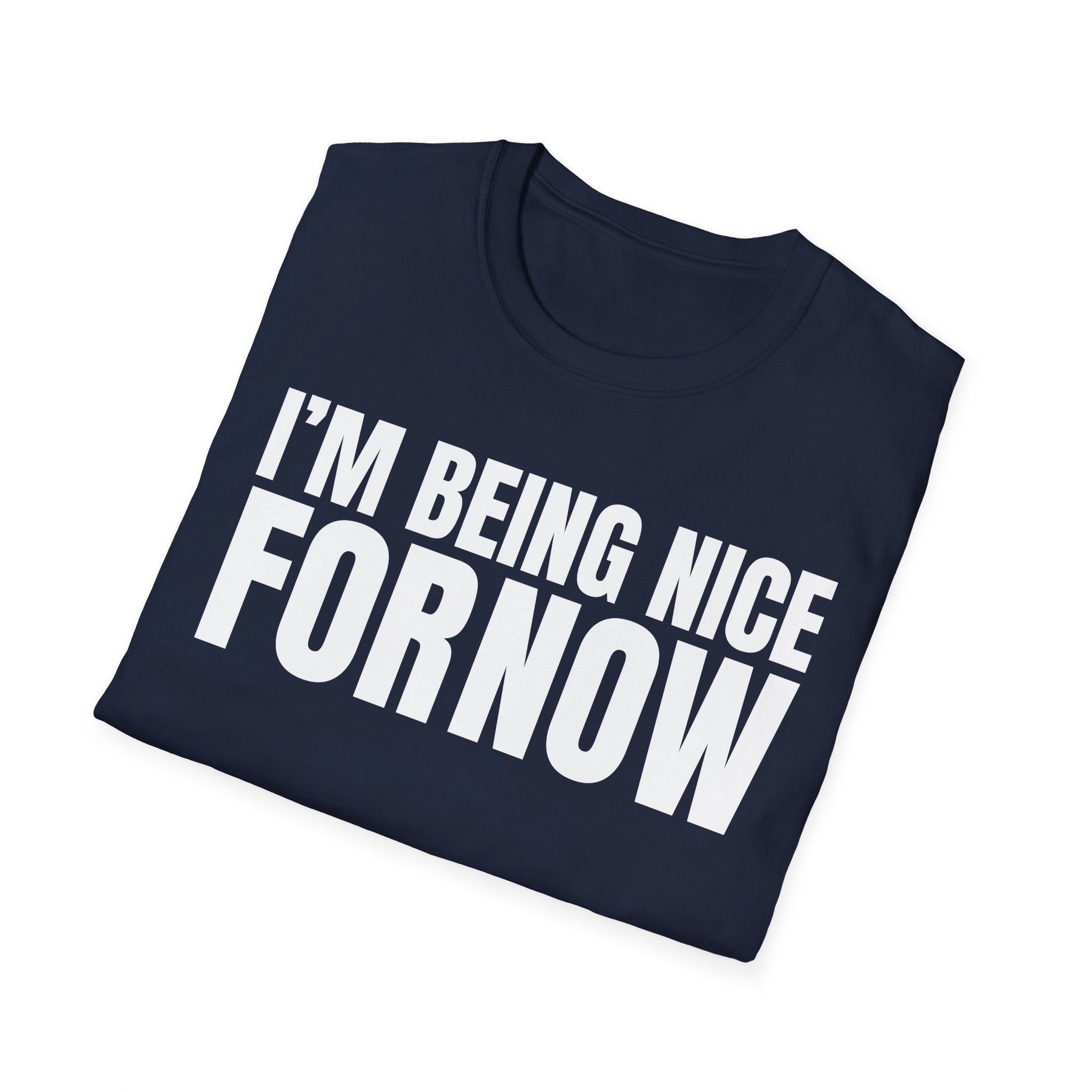 I'M BEING NICE FOR NOW 2 T-SHIRT