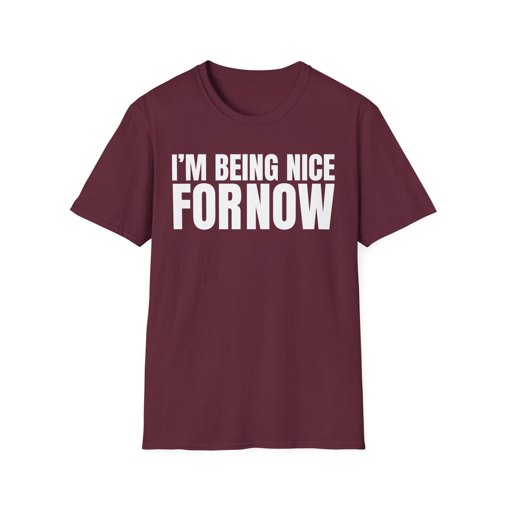 I'M BEING NICE FOR NOW 2 T-SHIRT