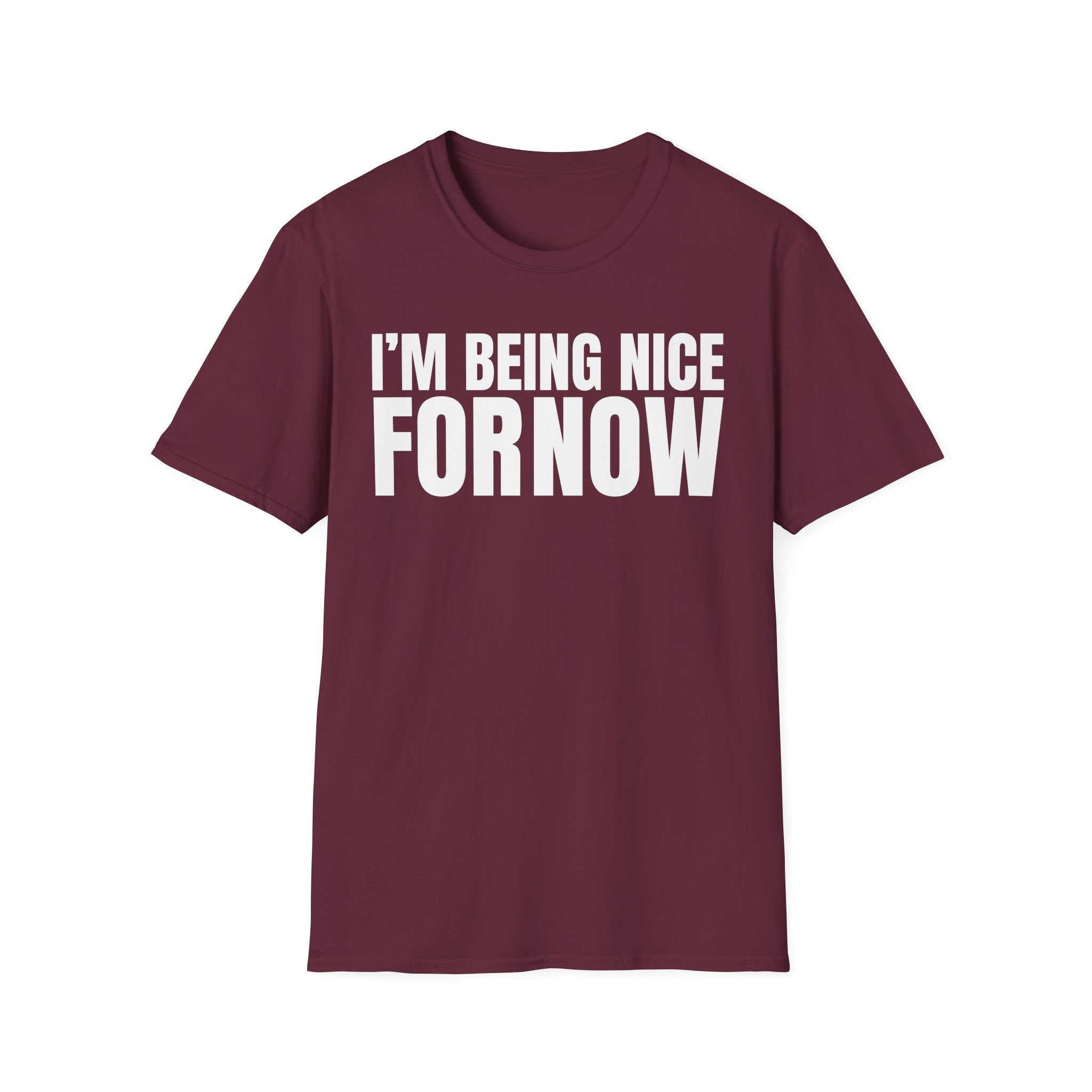 I'M BEING NICE FOR NOW 2 T-SHIRT