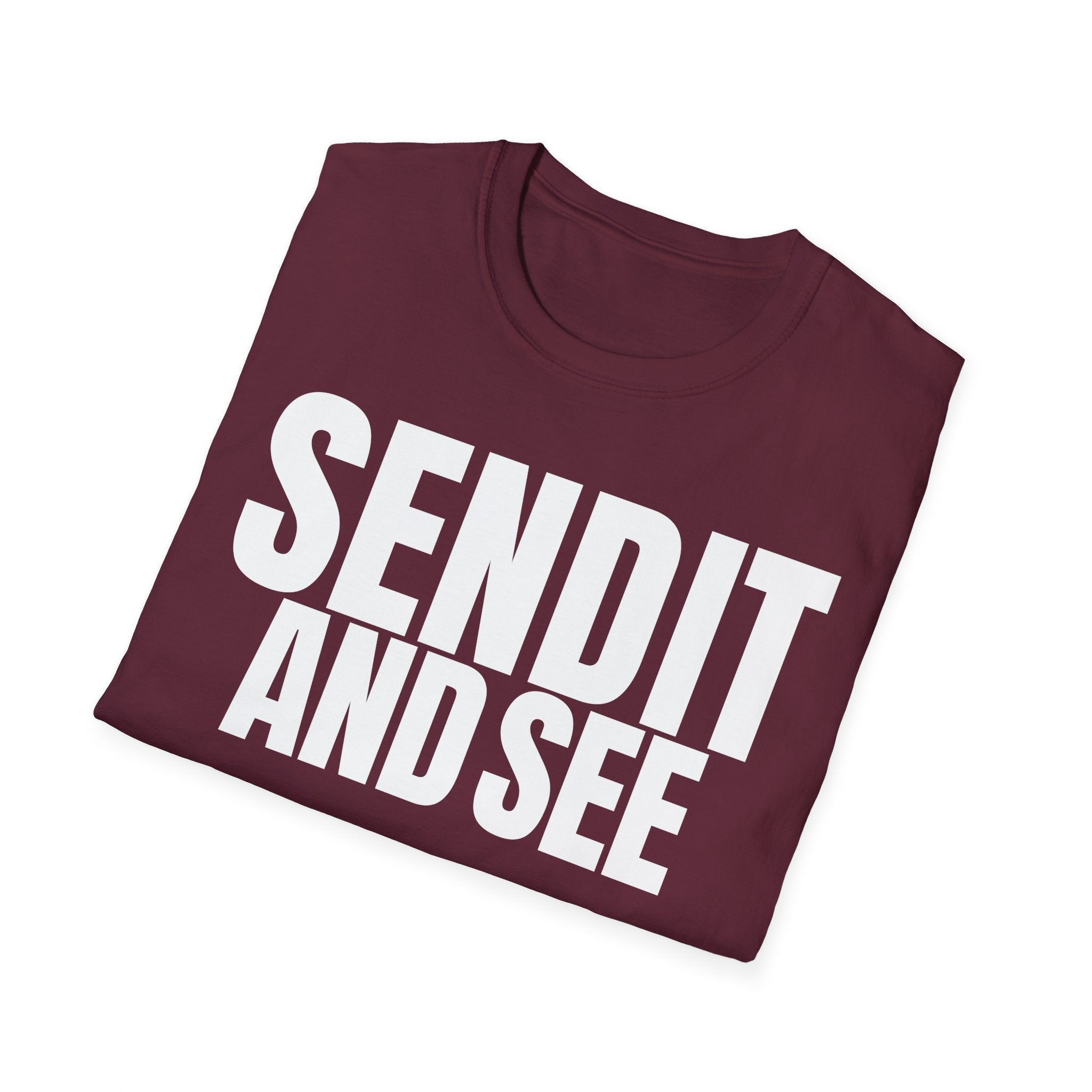 SEND IT AND SEE 2 T-SHIRT