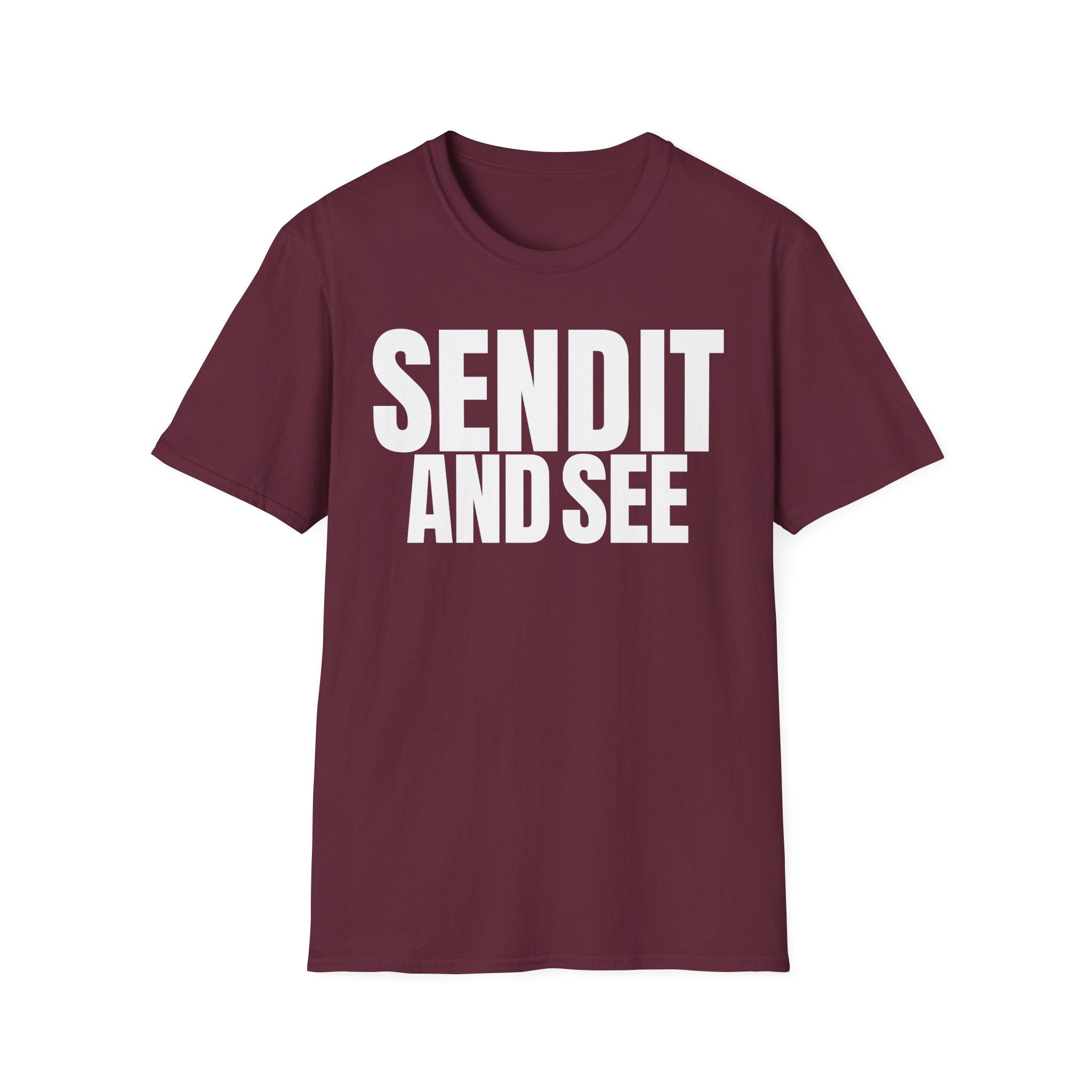 SEND IT AND SEE 2 T-SHIRT