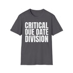 CRITICAL DUE DATE DIVISION