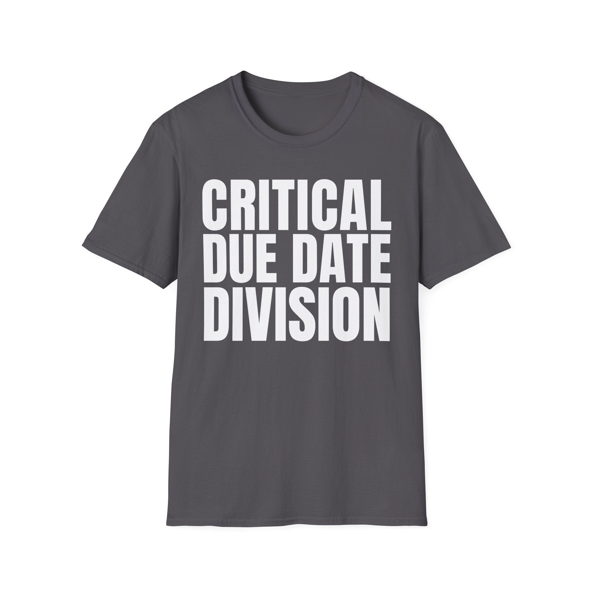 CRITICAL DUE DATE DIVISION