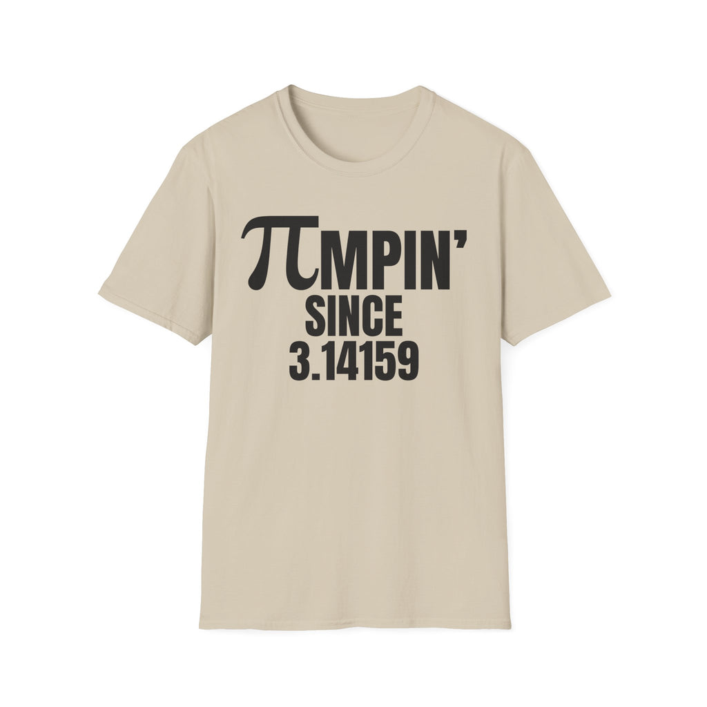 ∏MPIN' SINCE 3.1459 T-SHIRT