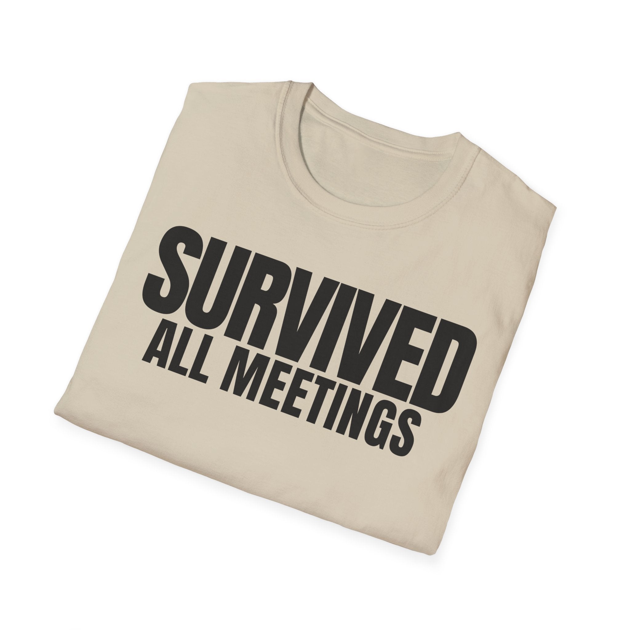SURVIVED ALL MEETINGS T-SHIRT