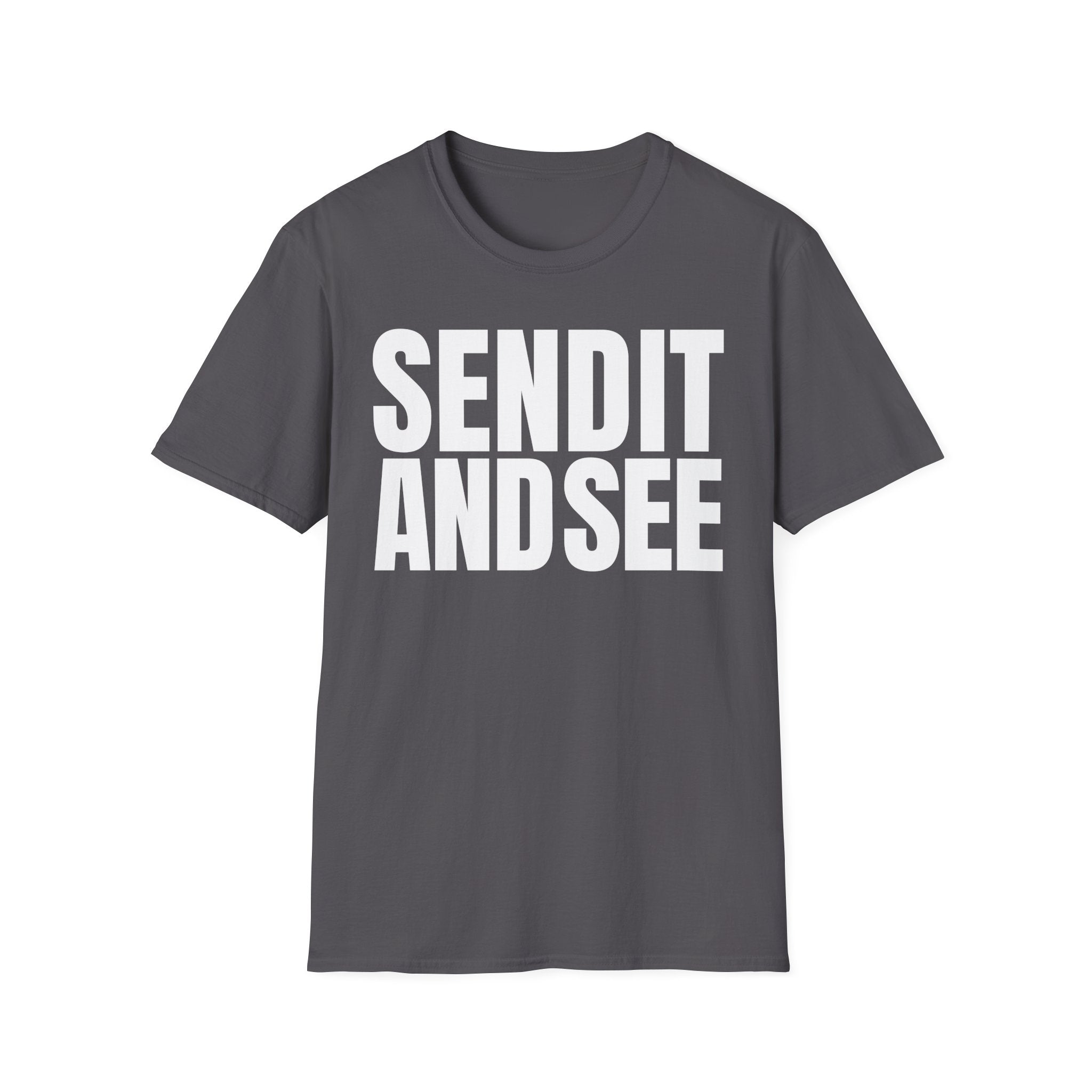 SEND IT AND SEE T-SHIRT