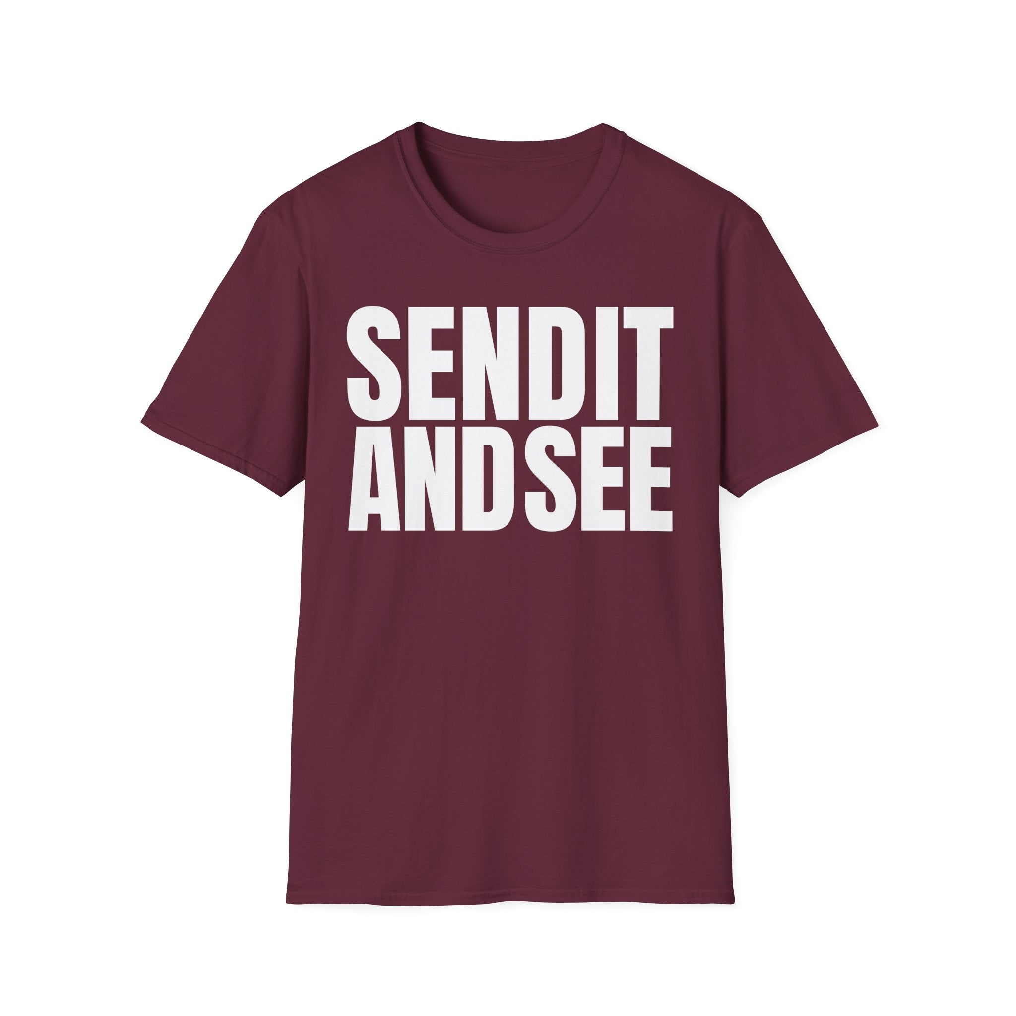 SEND IT AND SEE T-SHIRT