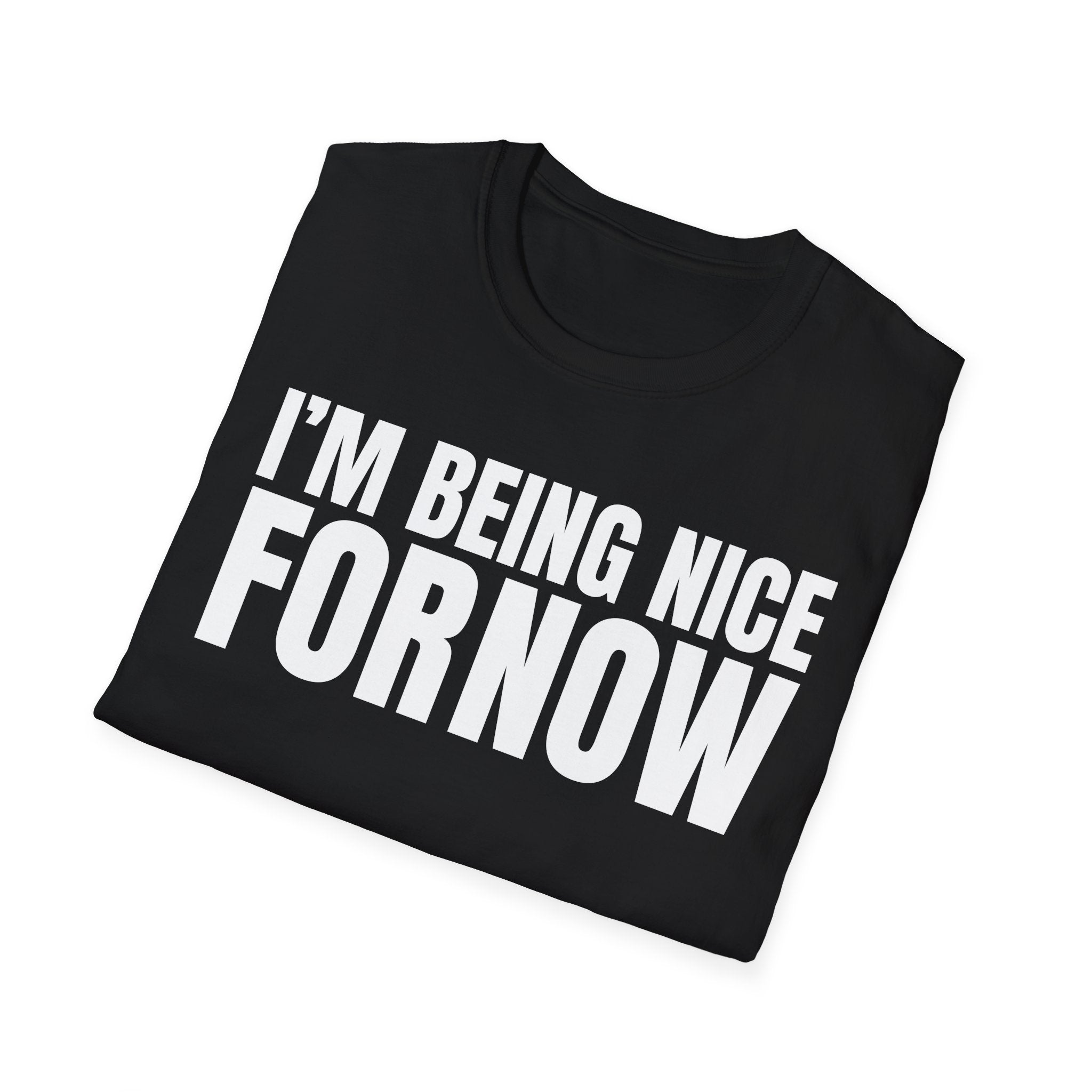 I'M BEING NICE FOR NOW 2 T-SHIRT