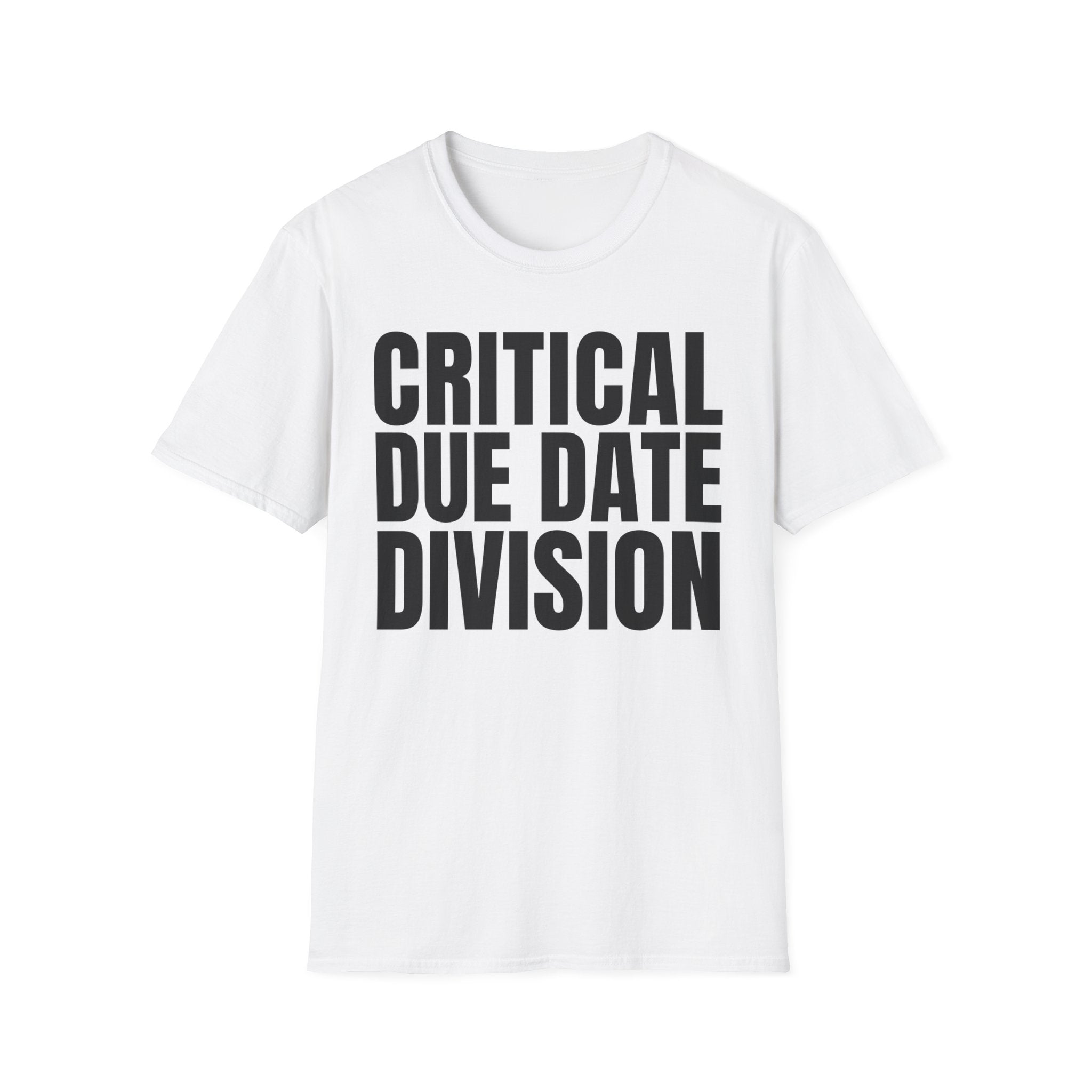 CRITICAL DUE DATE DIVISION
