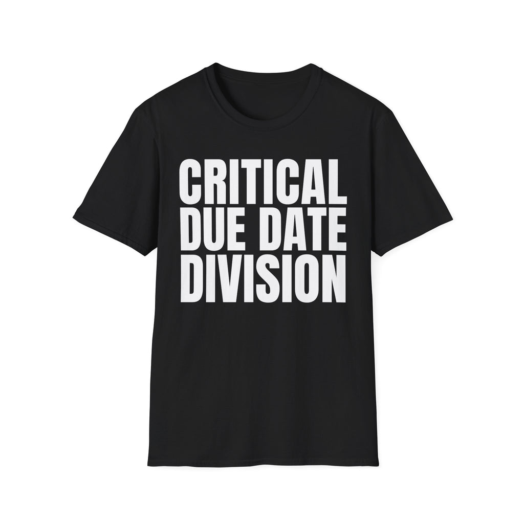 CRITICAL DUE DATE DIVISION