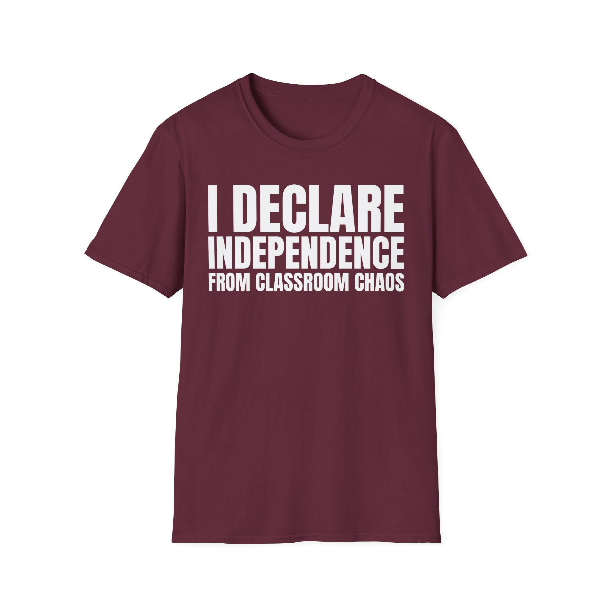 I DECLARE INDEPENDENCE FROM CLASSROOM CHAOS T-SHIRT