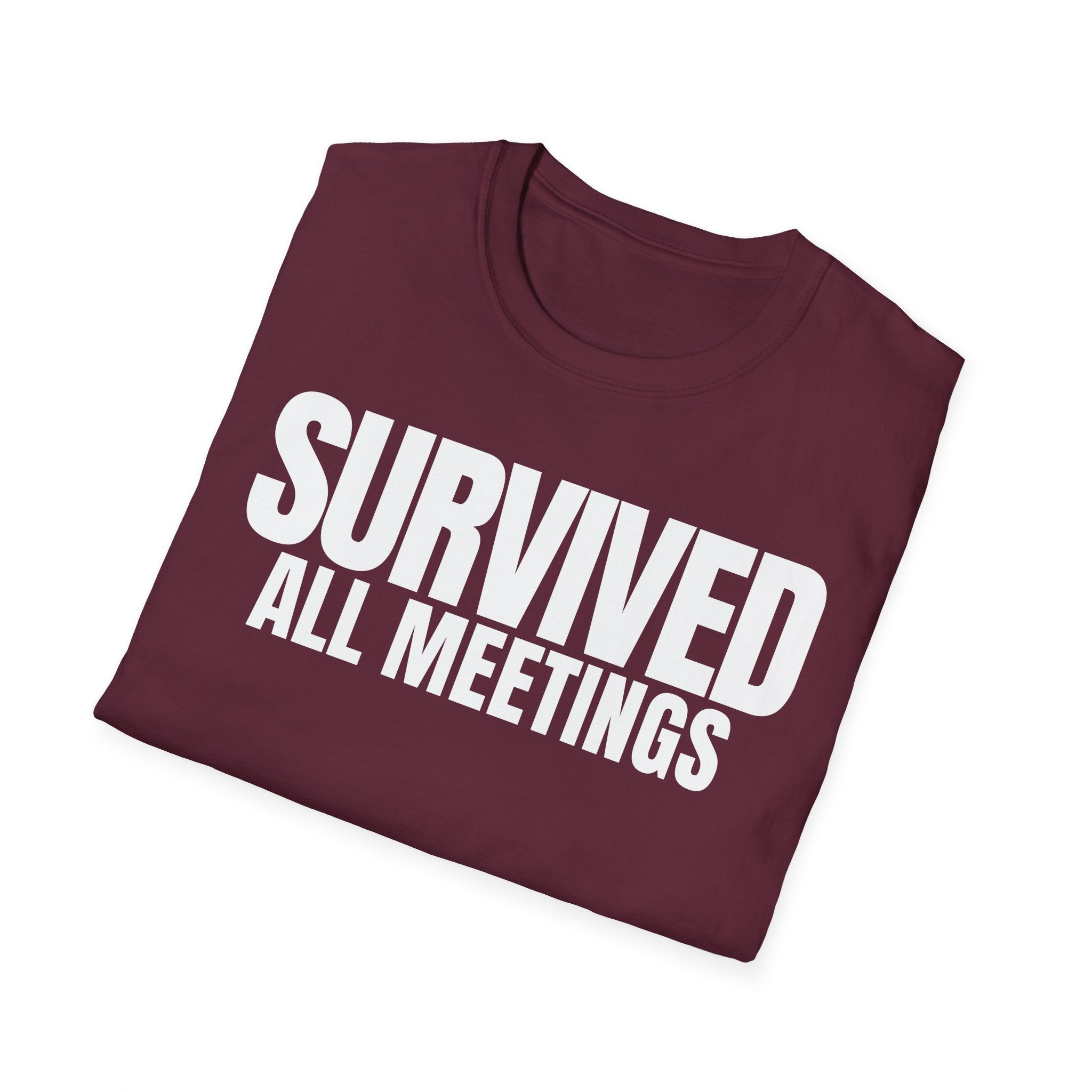 SURVIVED ALL MEETINGS T-SHIRT