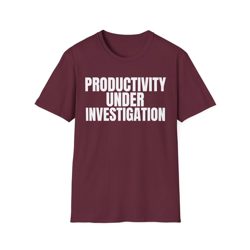 PRODUCTIVITY UNDER INVESTIGATION