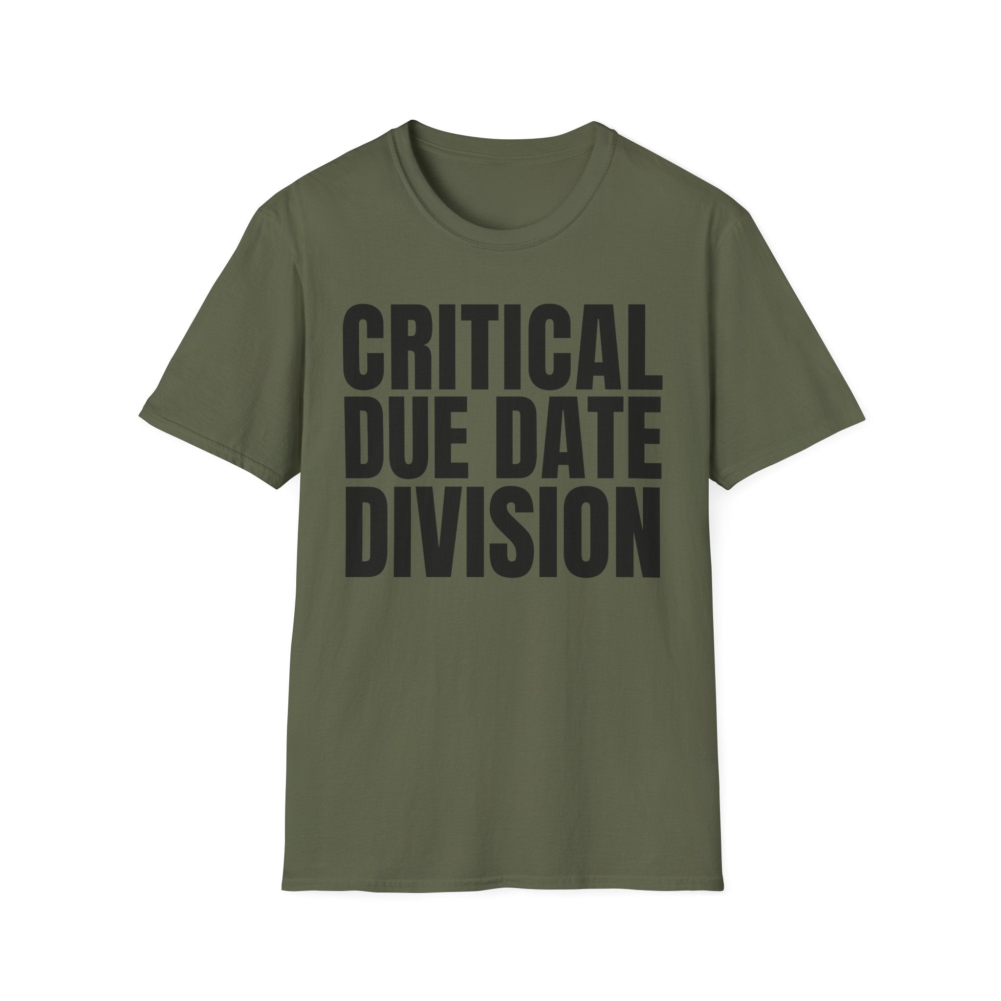 CRITICAL DUE DATE DIVISION