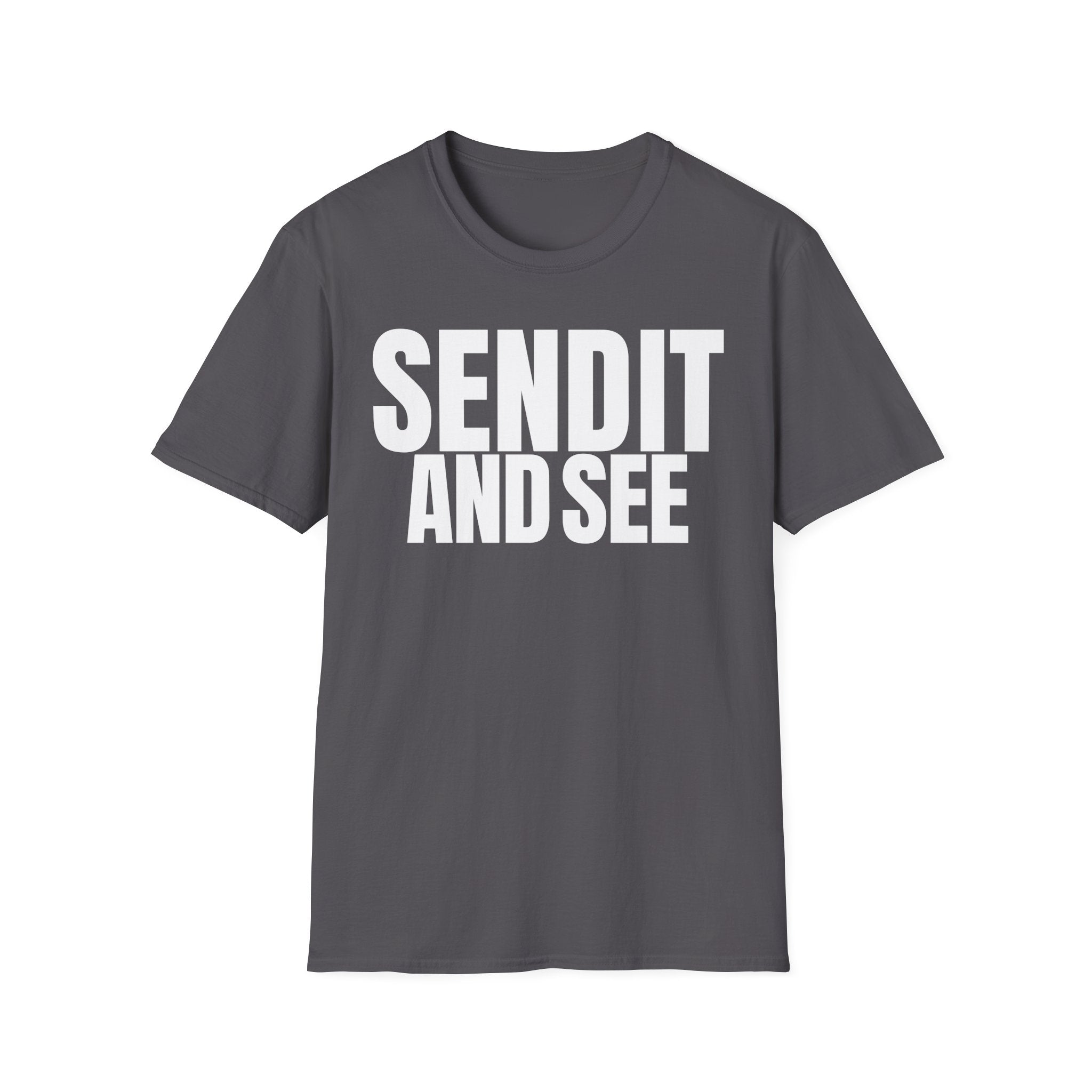 SEND IT AND SEE 2 T-SHIRT