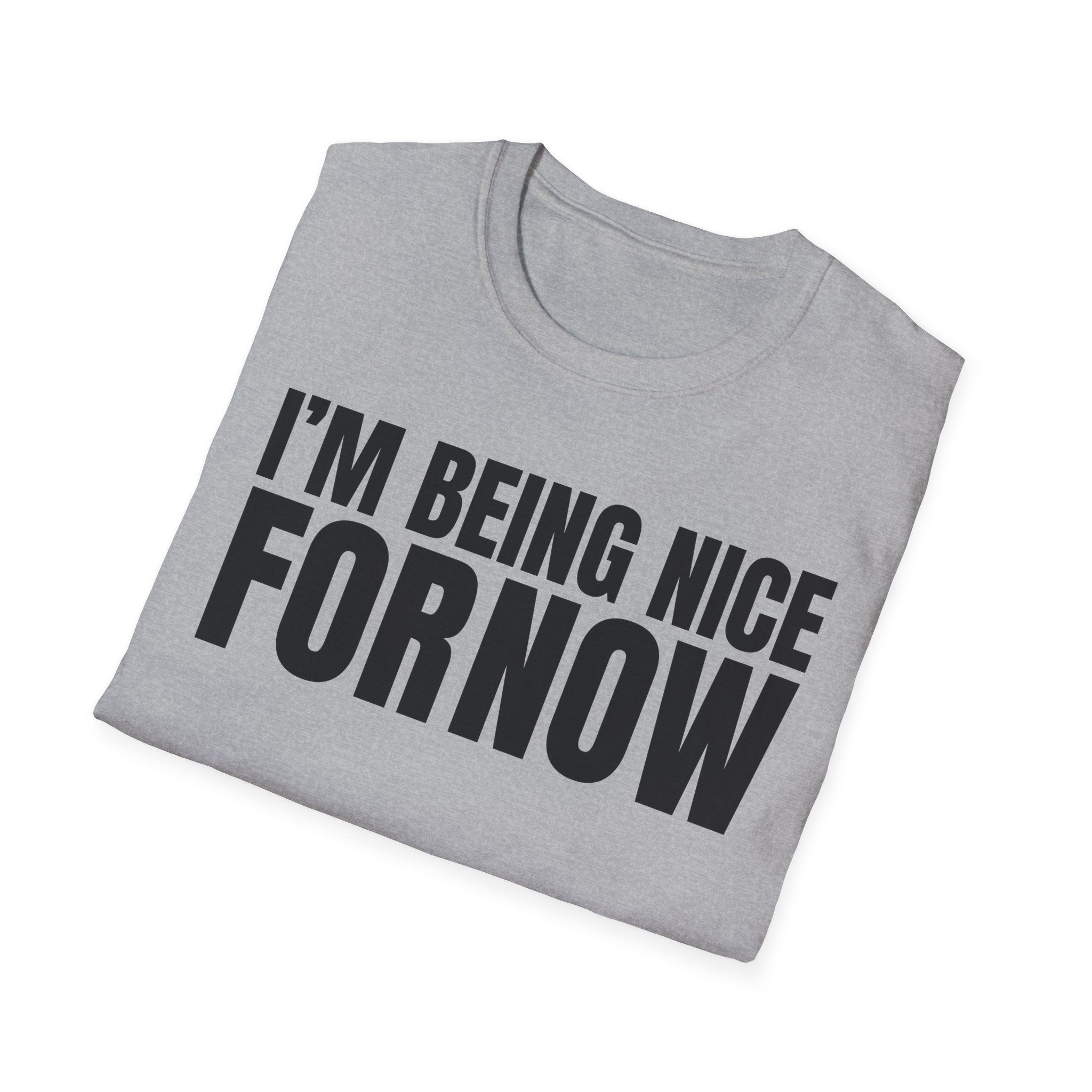 I'M BEING NICE FOR NOW 2 T-SHIRT